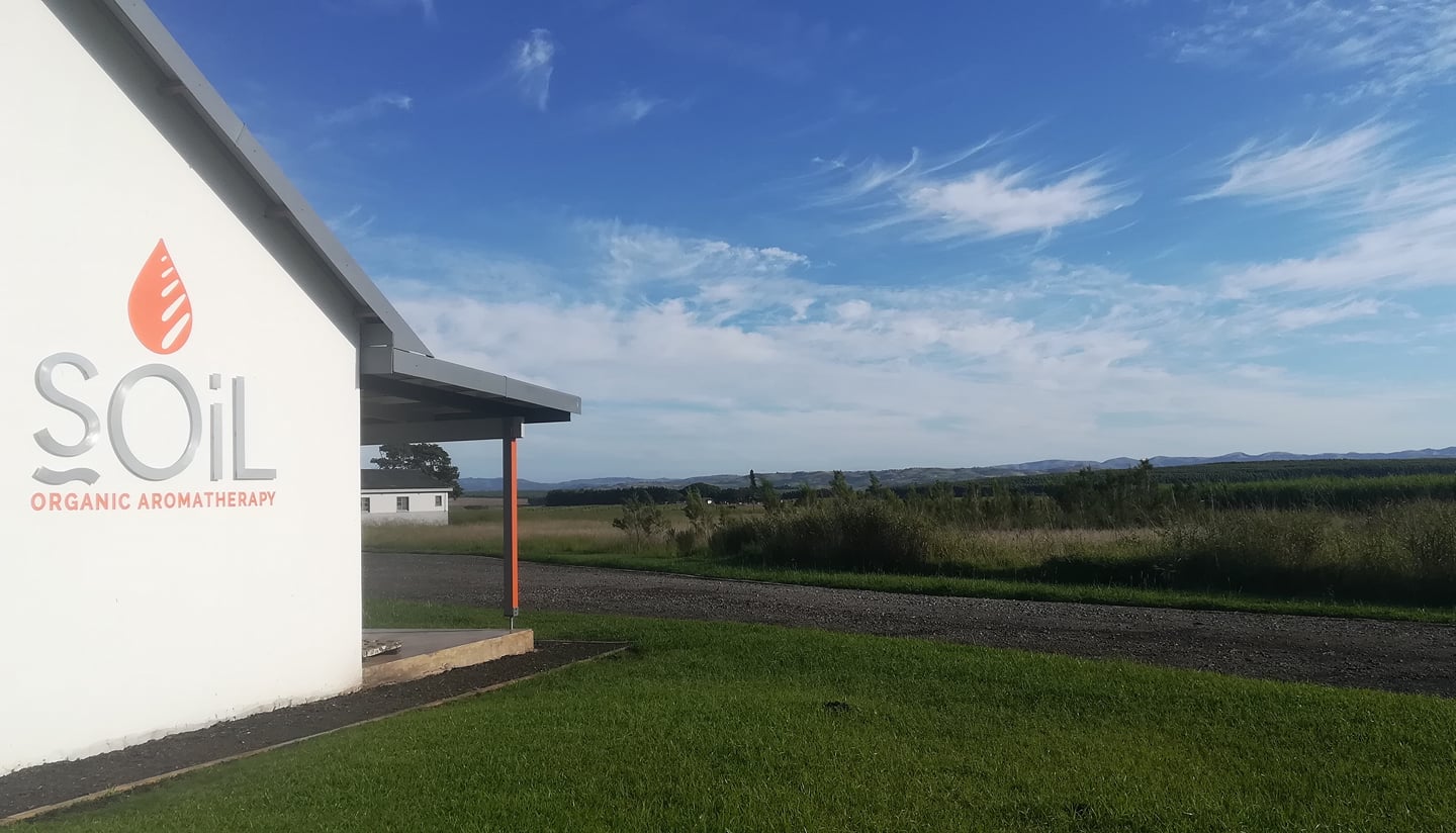 Revive - Organic Remedy Roller 10ml